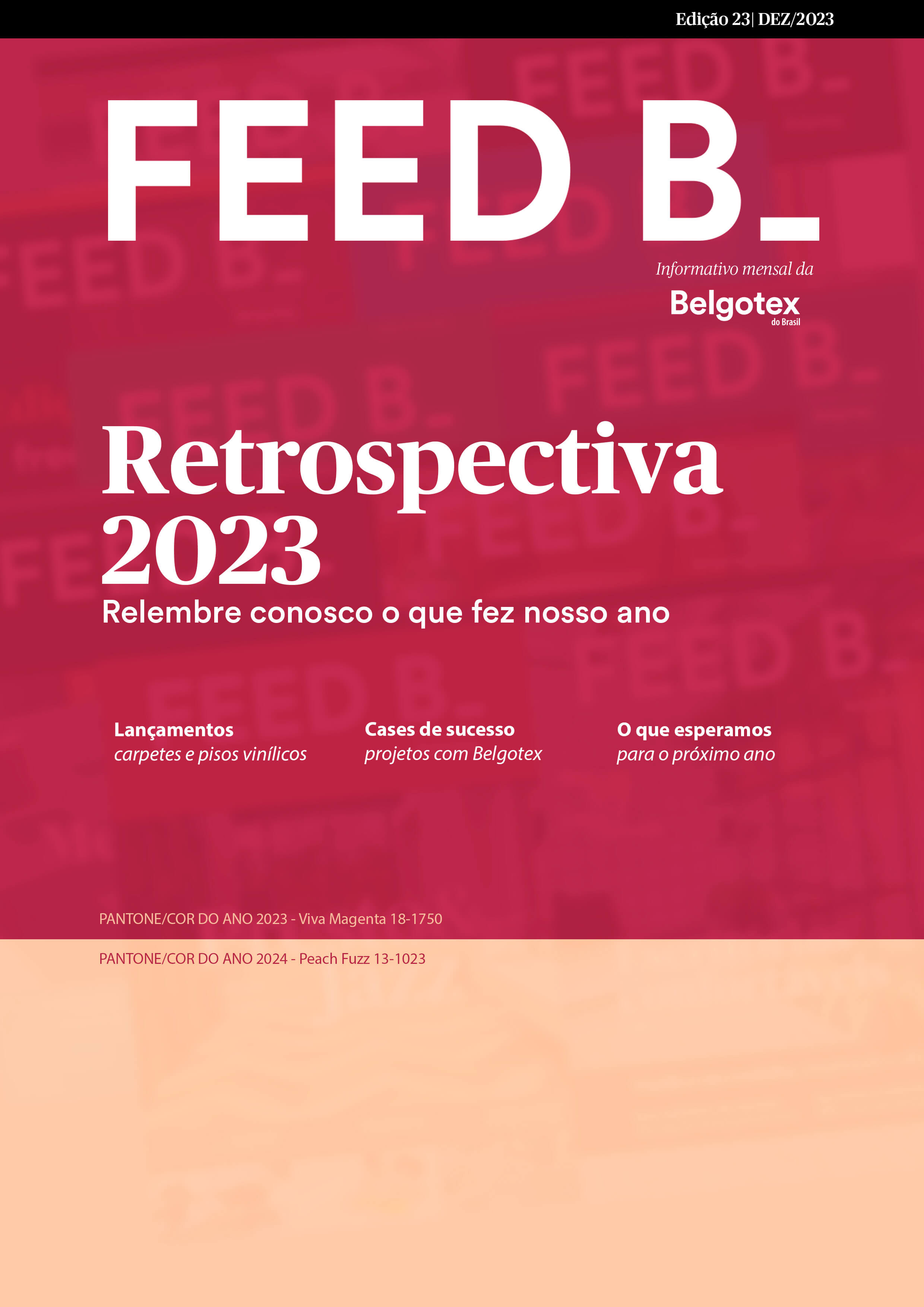 Feed B_ Edição 23/2023